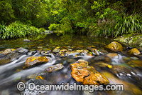 Urumbilum River Bindarri National Park Photo - Gary Bell