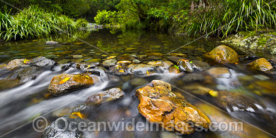 Urumbilum River Bindarri National Park photo Urumbilum River Bindarri National Park photo