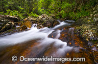 Urumbilum River Bindarri National Park Photo - Gary Bell