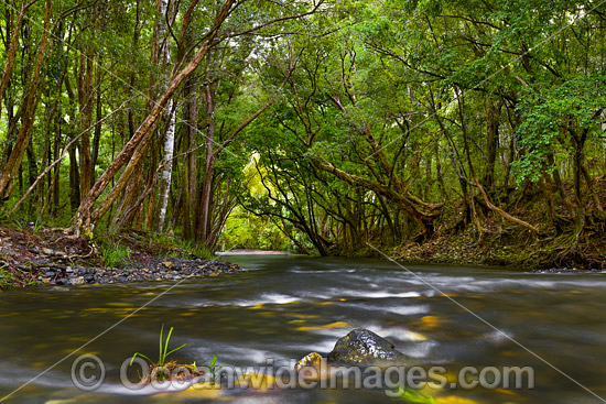 Promised Land River photo Promised Land River photo