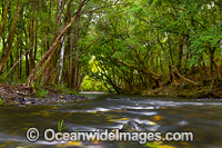 Promised Land River Photo - Gary Bell