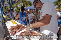 Invasive Lionfish Florida Photo - Michael Patrick O'Neill