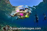 Snorkeling Hawaii Photo - David Fleetham