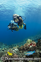 Divers with underwater scooters Photo - David Fleetham