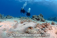Divers with Peacock Flounder Photo - David Fleetham