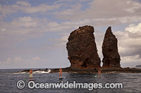Paddle-boards Hawaii Photo - David Fleetham