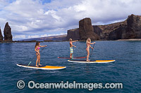 Paddle-boards Hawaii Photo - David Fleetham