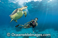 Scuba Diver and Green Sea Turtle Photo - David Fleetham