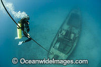 Artificial Reef Hawaii Photo - David Fleetham