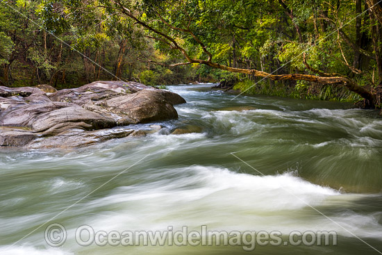 Never Never River photo Never Never River photo