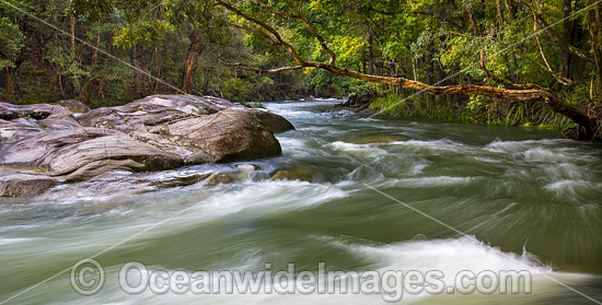 Never Never River Bellingen photo Never Never River Bellingen photo