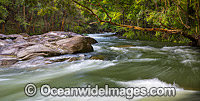 Never Never River Bellingen Photo - Gary Bell