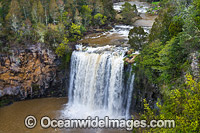 Dangar Falls Dorrigo Photo - Gary Bell