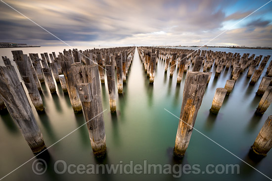 Princes Pier Melbourne photo Princes Pier Melbourne photo