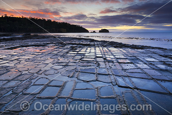 Tessellated Pavement Tasmania photo Tessellated Pavement Tasmania photo