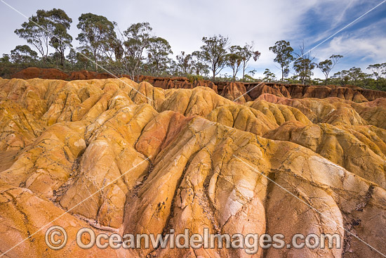 Pink Cliffs Geological Reserve photo Pink Cliffs Geological Reserve photo