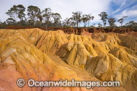 Pink Cliffs Heathecote Photo - Gary Bell