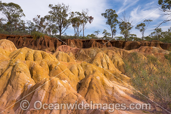 Pink Cliffs Victoria photo Pink Cliffs Victoria photo