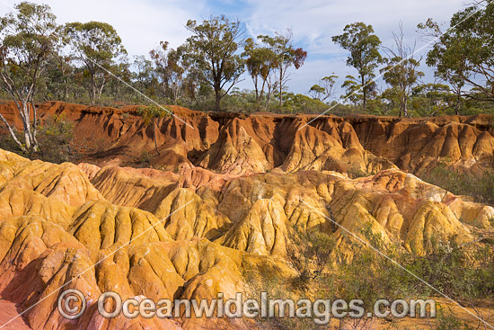 Pink Cliffs Geological Reserve photo Pink Cliffs Geological Reserve photo