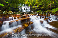 Liffey Falls Tasmania Photo - Gary Bell