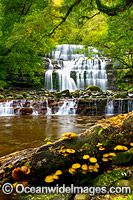 Liffey Falls Tasmania Photo - Gary Bell