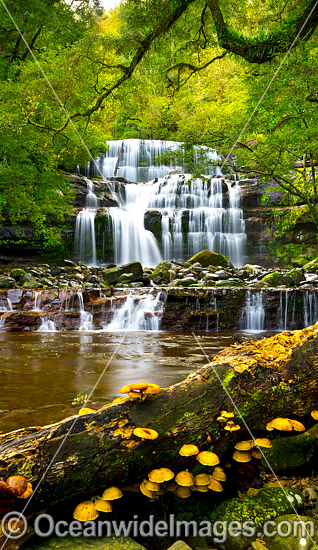 Liffey Falls Tasmania photo