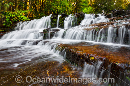 Liffey Falls Tasmania photo