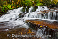 Liffey Falls Tasmania Photo - Gary Bell