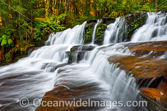 Liffey Falls Tasmania photo