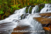 Liffey Falls Tasmania Photo - Gary Bell