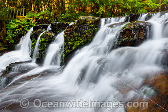 Liffey Falls Tasmania photo