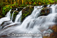 Liffey Falls Tasmania Photo - Gary Bell
