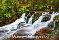 Liffey Falls Tasmania Photo - Gary Bell