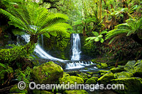 Horseshoe Falls Mount Field Photo - Gary Bell