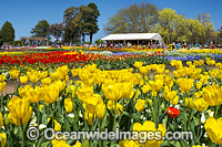 Floriade Festival Canberra Photo - Gary Bell