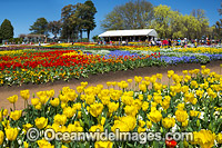 Floriade Festival Canberra Photo - Gary Bell
