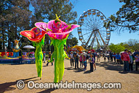 Floriade Festival Canberra Photo - Gary Bell