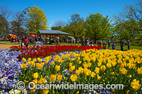 Floriade Festival Canberra Photo - Gary Bell