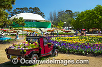 Floriade Festival Canberra Photo - Gary Bell