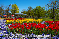 Floriade Festival Canberra Photo - Gary Bell