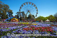 Floriade Festival Canberra Photo - Gary Bell