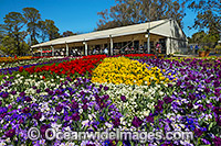 Floriade Festival Canberra Photo - Gary Bell