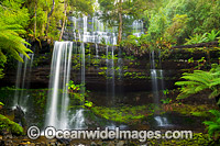 Russell Falls Tasmania Photo - Gary Bell