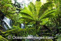 Horseshoe Falls Tasmania Photo - Gary Bell