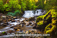 Liffey Falls Tasmania Photo - Gary Bell