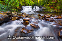 Liffey Falls Tasmania Photo - Gary Bell