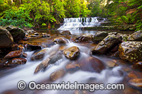 Liffey Falls Tasmania Photo - Gary Bell