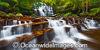 Liffey Falls Tasmania Photo - Gary Bell