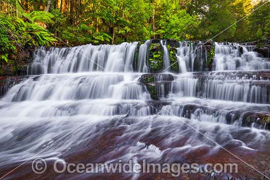 Liffey Falls Tasmania photo
