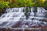Liffey Falls Tasmania Photo - Gary Bell